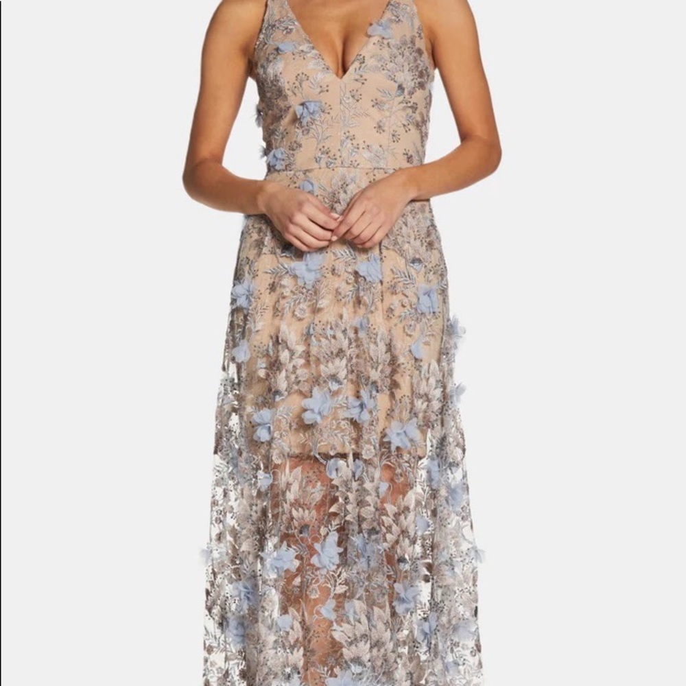 Dress the Population Sheer Dress